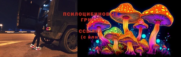 твердый Осташков