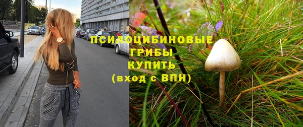 jwh Осинники