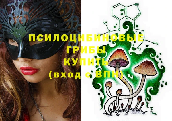 твердый Осташков
