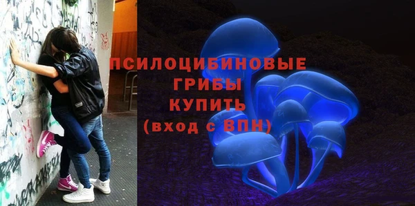 твердый Осташков