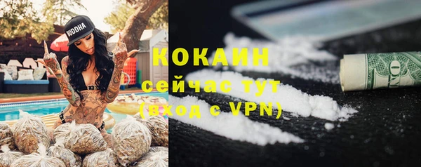 твердый Осташков
