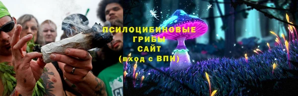 твердый Осташков