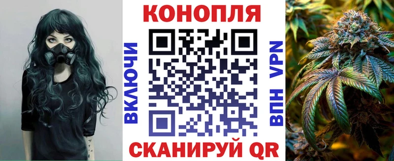 Шишки марихуана семена  Щёкино 